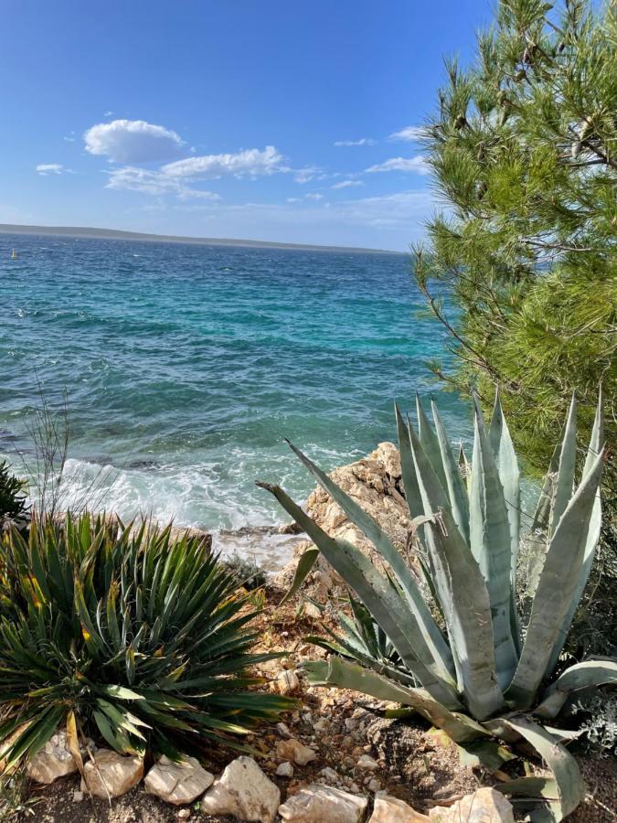 Sea View Apartment Mandre