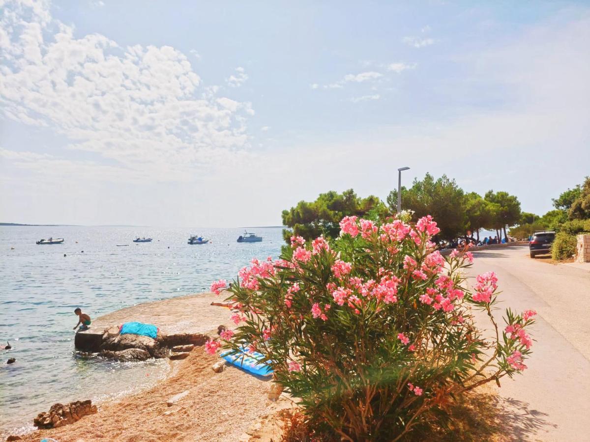 Sea View * Mandre