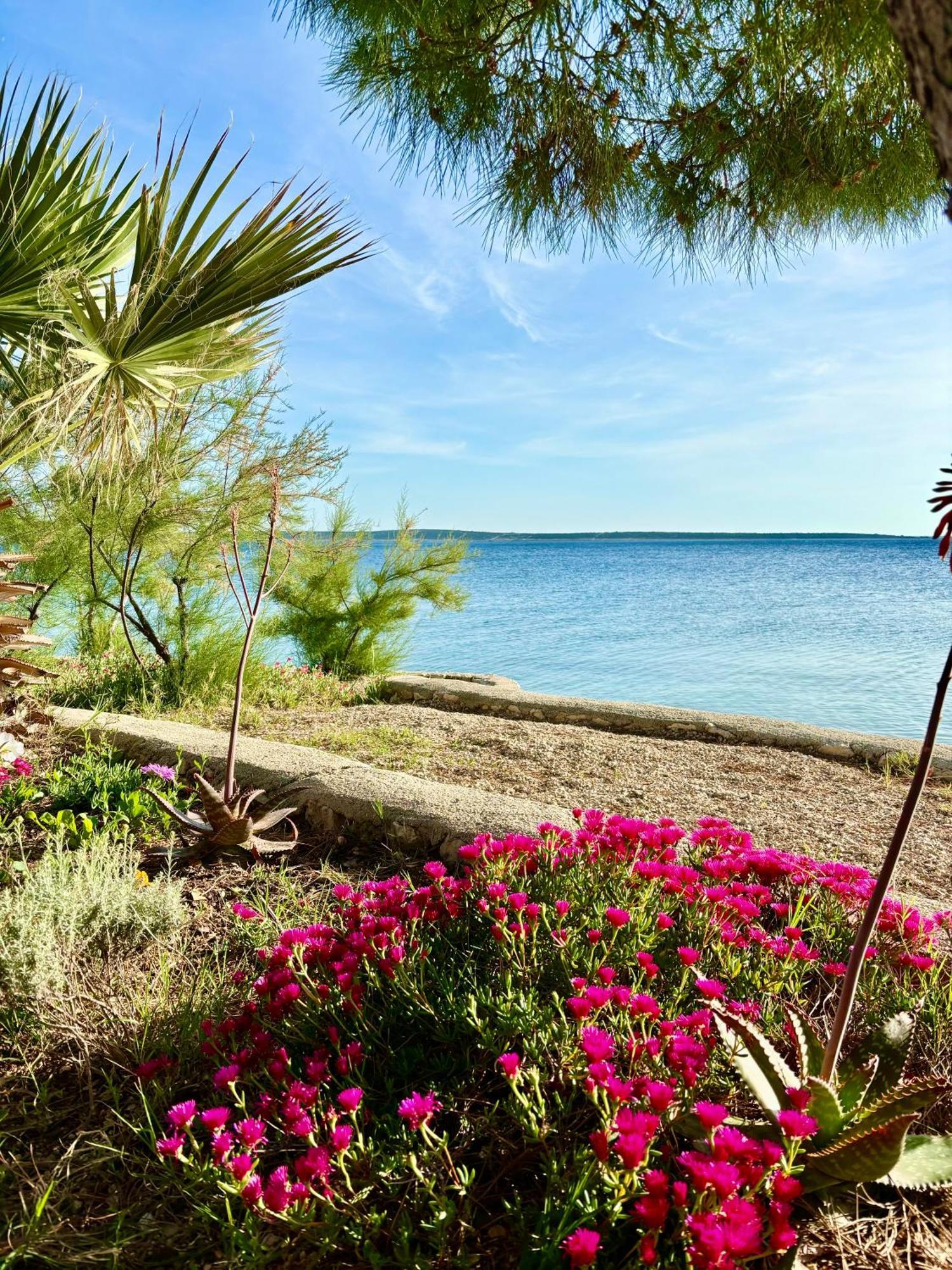 Sea View Apartment